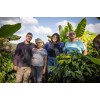 Кафе COLOMBIA GESHA, Curtiti, Santander, Farm Hacienda El Rodeo, Reyes Camacho Family, Specialty Arabica natural, double lactic, S.C.A. - 88.25, реколта 2026 Кафе COLOMBIA GESHA, Curtiti, Santander, Farm Hacienda El Rodeo, Reyes Camacho Family, Specialty Arabica natural, double lactic, S.C.A. - 88.25, реколта 2026