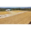 Кафе COLOMBIA GESHA, Curtiti, Santander, Farm Hacienda El Rodeo, Reyes Camacho Family, Specialty Arabica natural, double lactic, S.C.A. - 88.25, реколта 2026 Кафе COLOMBIA GESHA, Curtiti, Santander, Farm Hacienda El Rodeo, Reyes Camacho Family, Specialty Arabica natural, double lactic, S.C.A. - 88.25, реколта 2026